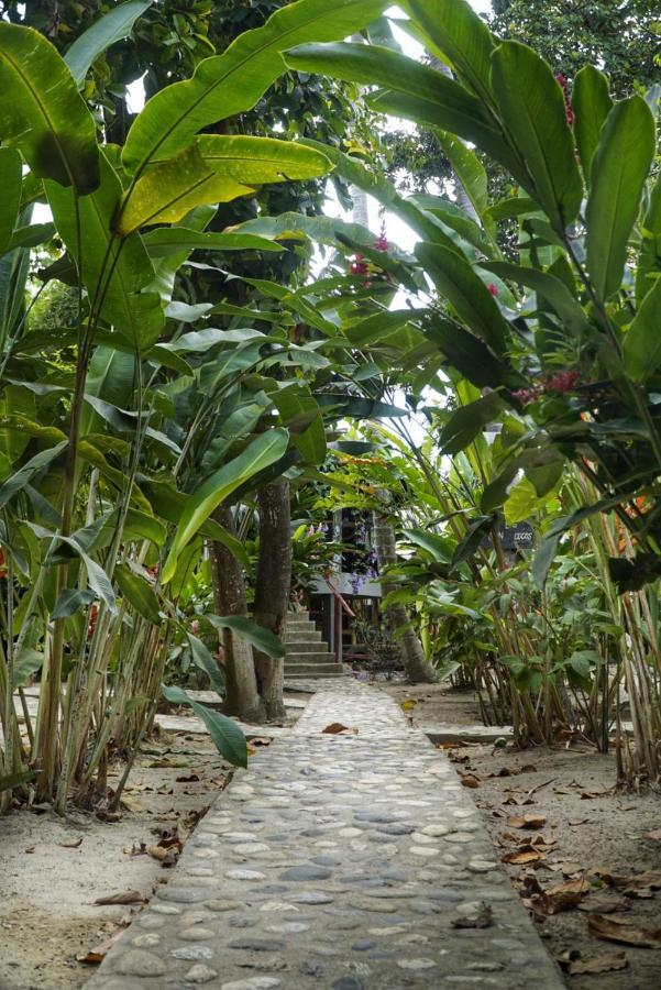 Auberge de jeunesse La Playita à Guachaca Extérieur photo